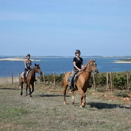Grofica, New House, Heated Pool, Jacuzzi, Playgroung & Bbq, Near Beaches, - Istria