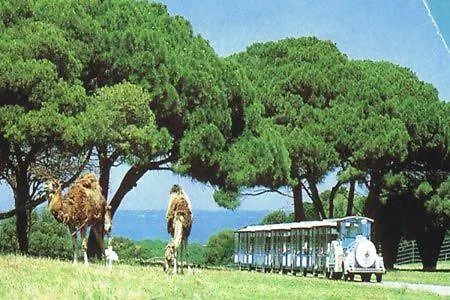 Grofica, New House, Heated Pool, Jacuzzi, Playgroung & Bbq, Near Beaches, - Istria Pula
