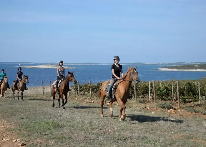 Grofica - Luxury And Romance With Heated Pool, Jacuzzi, Tavern And Proximity To The Sea, - Istria